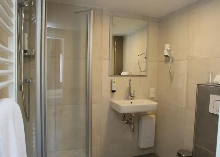 Muenchner Hof 3* هيرفورد